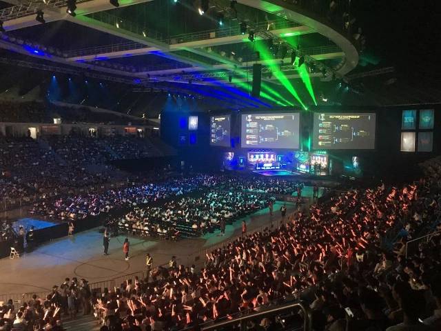 坚实的免疫 坚实的免疫