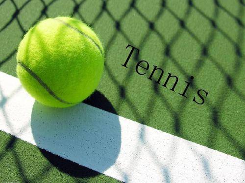 处罚标准 处罚标准